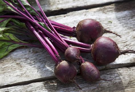 Commonly Confused Words: Beat and Beet .